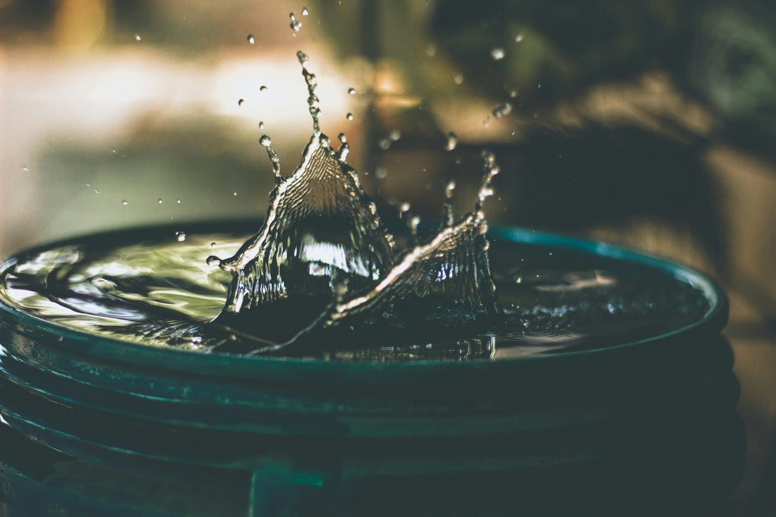 Why Water Isn't Enough: The Missing Minerals