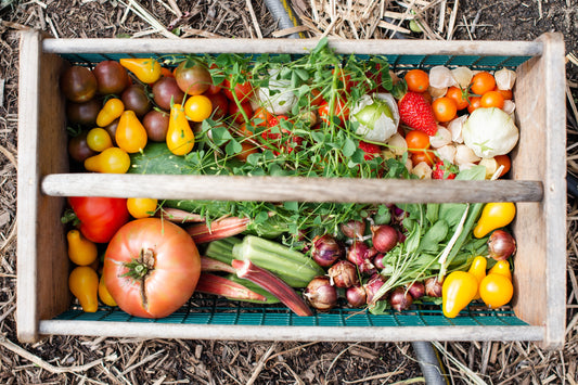 Gardening for Beginners