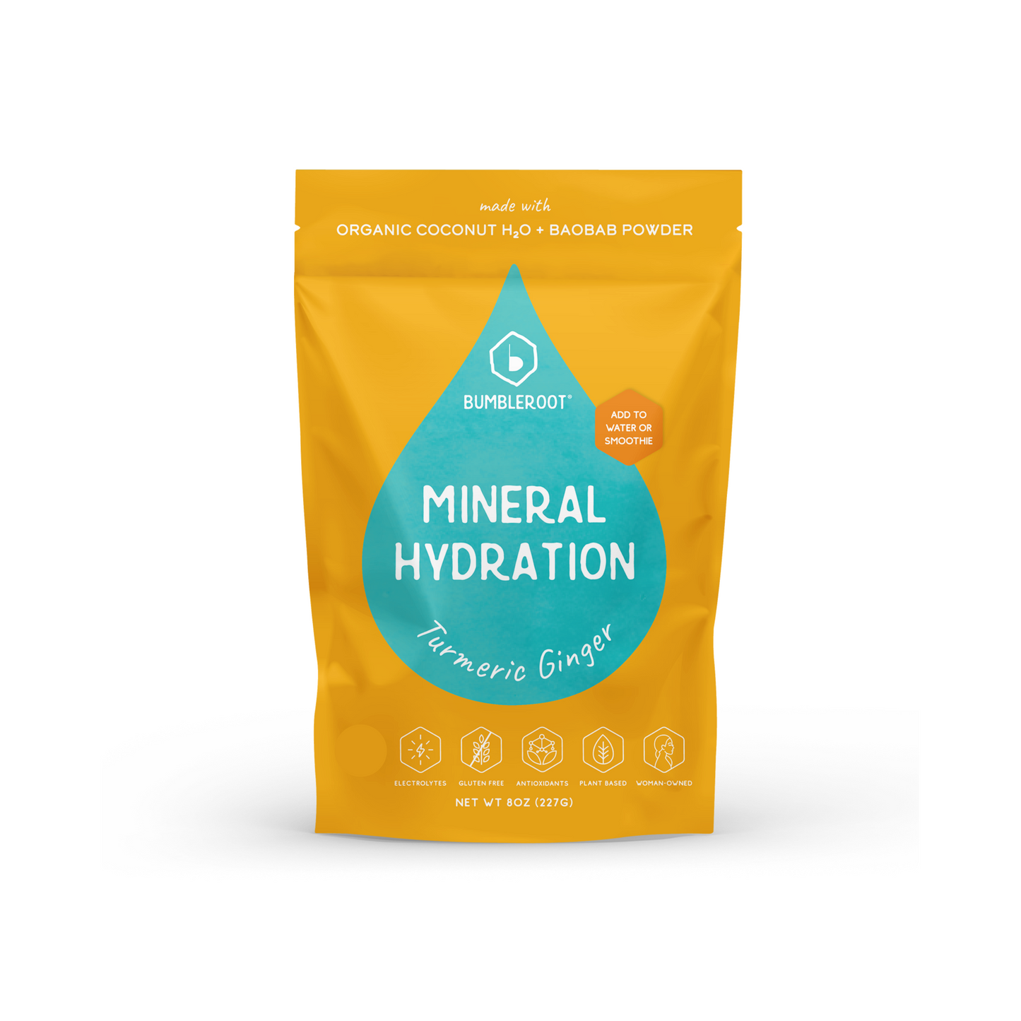 Mineral Hydration Drink Mix (Turmeric Ginger)