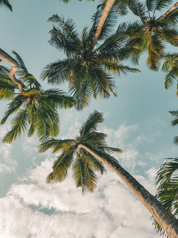 Covid Supply Update: The story of our coconut water